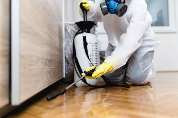 Insect Control in Millville, NJ