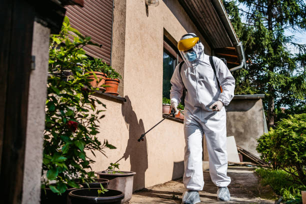 Best Affordable Pest Control Services  in Millville, NJ