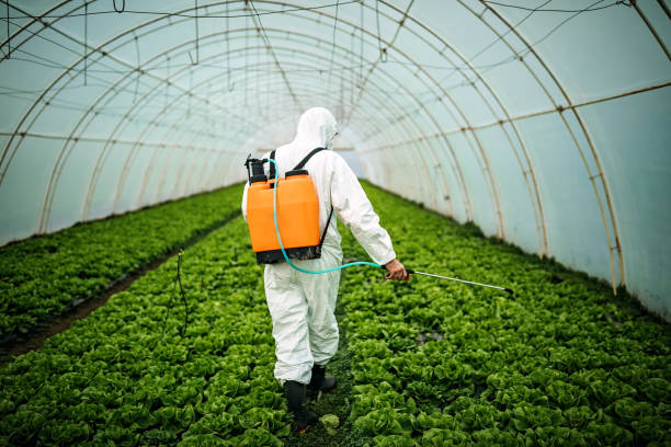 Best Best Pest Control Near Me  in Millville, NJ