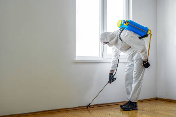 Best Pest Inspection Near Me  in Millville, NJ
