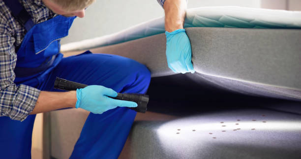 Best Insect Control  in Millville, NJ