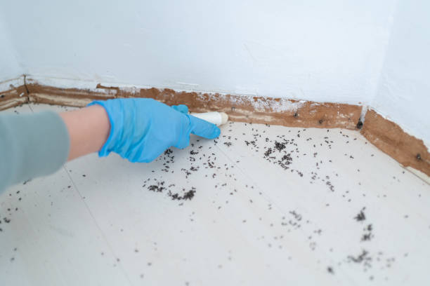 Best Residential Pest Control  in Millville, NJ